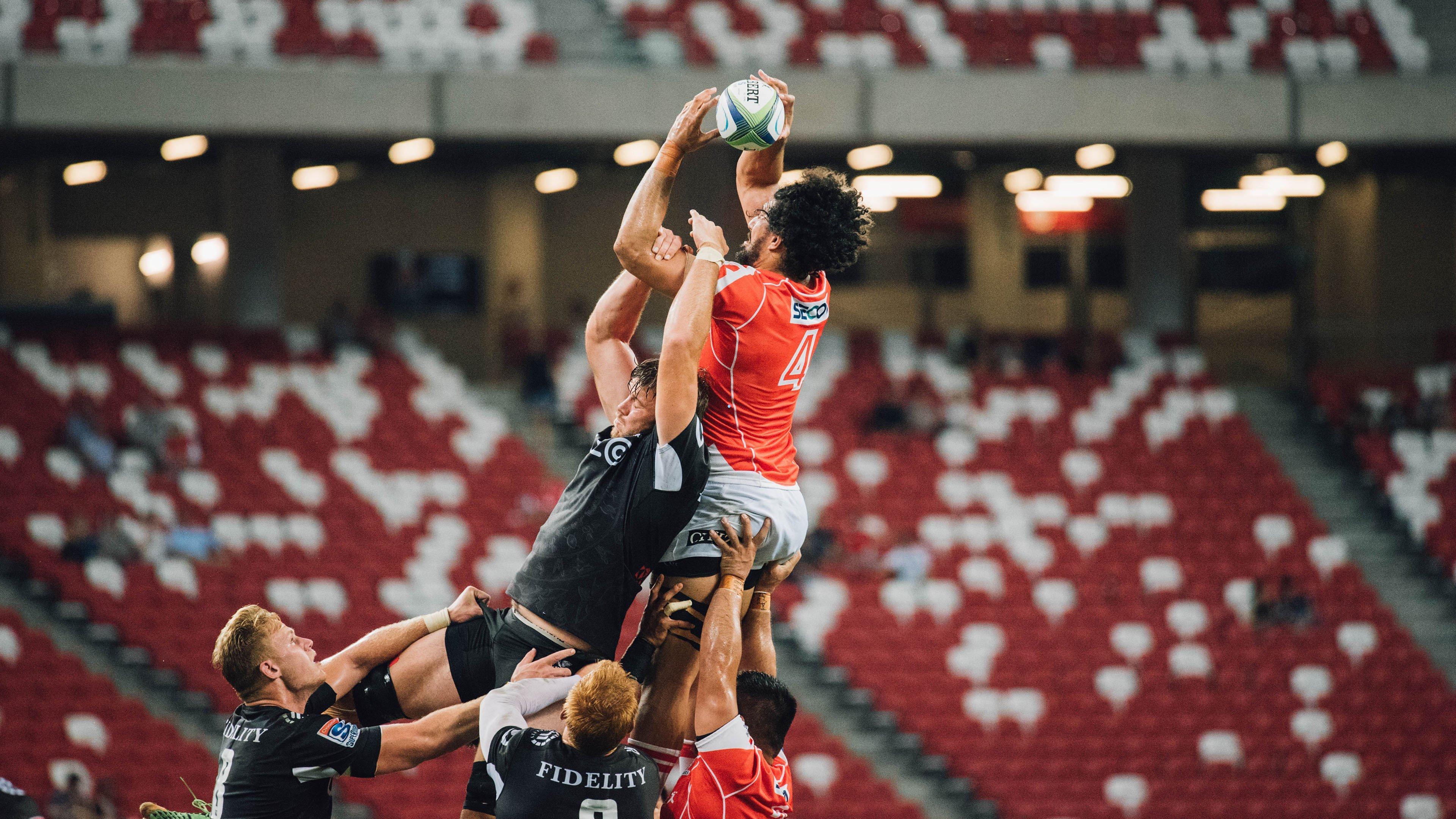 樊振东德甲赛场暴力熊猫再进化，发球抢攻一气呵成演绎王者风范